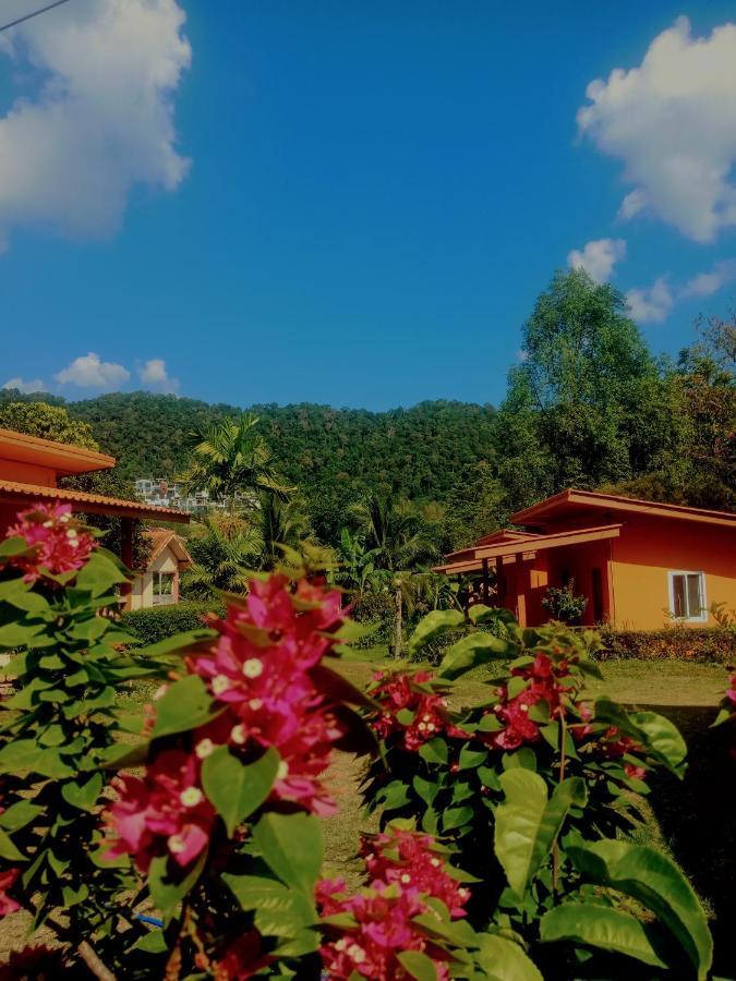 קו לנטה Hassana Garden Home מראה חיצוני תמונה