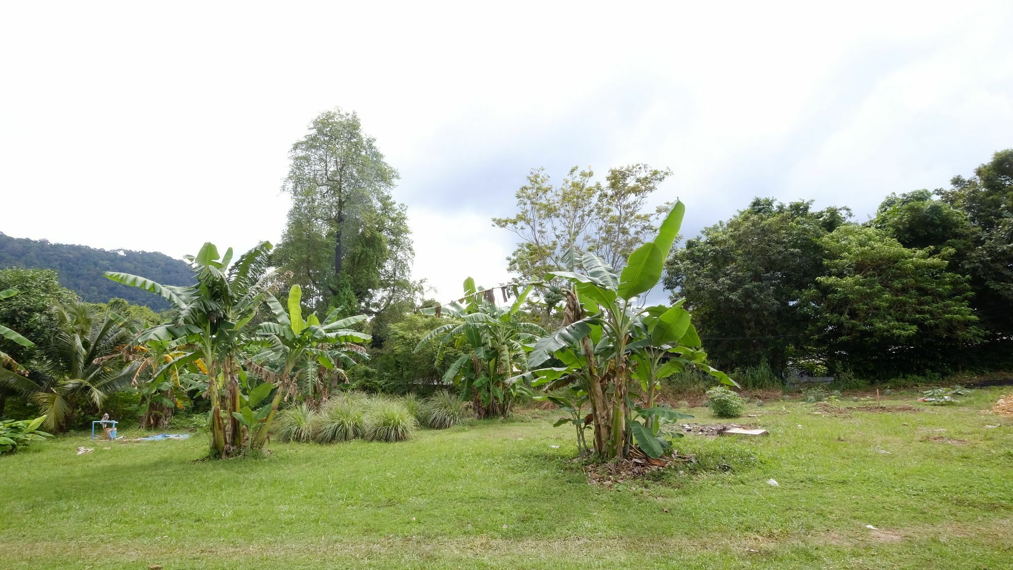 קו לנטה Hassana Garden Home מראה חיצוני תמונה